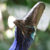 Pat Michael's photo