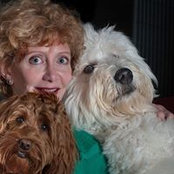 Janet Laizer's photo