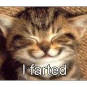Darlene Umst's photo