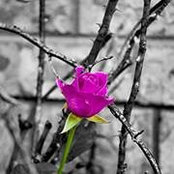 Kristie Greer's photo