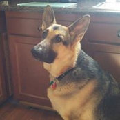 Beth Bertelsen's photo