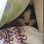 Lana Pelletier's photo