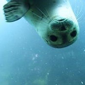 Junkal Irigoien's photo