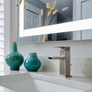 Master Bathroom Renovation in Carrollwood
