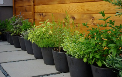 6 Ways to Grow Edibles in Small Places