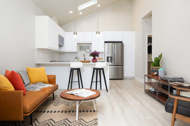 Inspiration for a transitional living room remodel in San Francisco