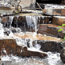Water Garden