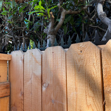 Otani Ninja Deterrent | GizaGiza Heart Single Bladed Black on Wood Deck Fence