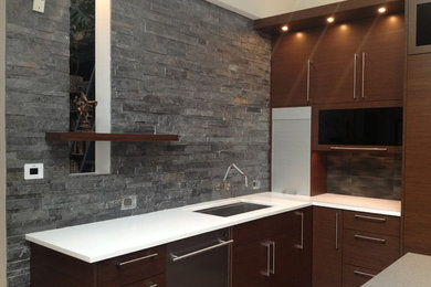 Kitchen - contemporary kitchen idea in Dallas