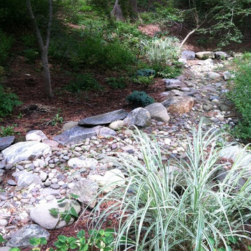 Dry stream garden