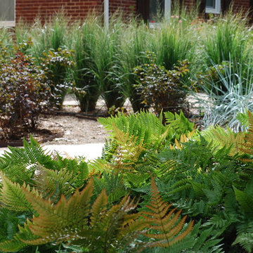 Turf-less front yard provides unexpected color and texture.