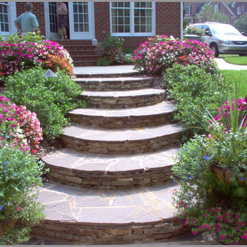 Our Work