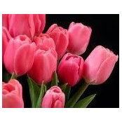Michelle Lee's photo