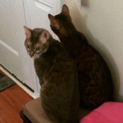 Jessica Benning's photo