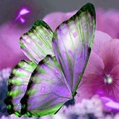 Valerie Stratton's photo
