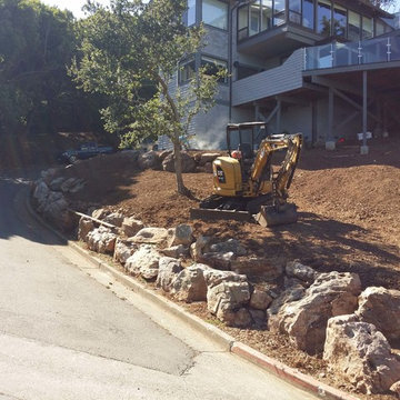 Low Maintenance & Drought Tolerant