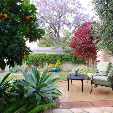 Private Master Bedroom Patio