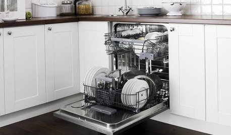 Should I Buy a Dishwasher?