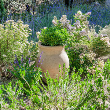 Tourtour - jardin méditerranéen contemporain