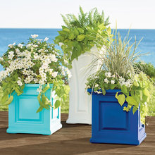 Patio Ideas