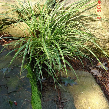 Woodland Steps Landscape Design Moultonborough, NH