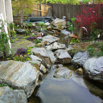 Shell Beach Woodland Stream
