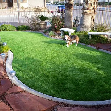 Pet-Friendly Artificial Grass