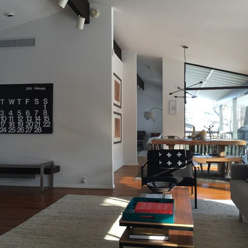 Mid-Century Modern Renovation