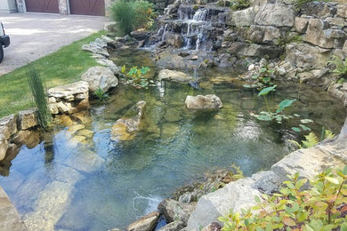 natural pond maintenance and plantings