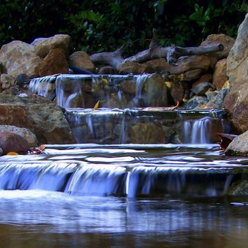 Best of www.socalpondpros.com