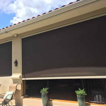 Roller Shades ( Manual & Motorized)