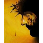 Charbel Elnawar's photo
