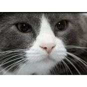 Brenda Denne's photo