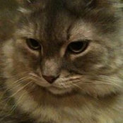 Frances Trahan's photo