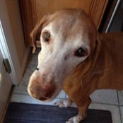 Christine Keane's photo