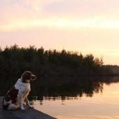 Photo de Nolan Fehr