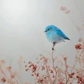Cindy Caviedes's photo