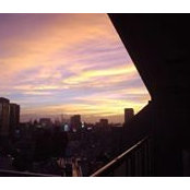 Foto von 渡部聡