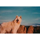 Mike Johnson's photo