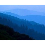 Brian Duggan's photo