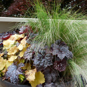 Fall Container Garden