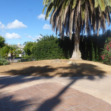 Lawn conversion in Fairbanks Ranch