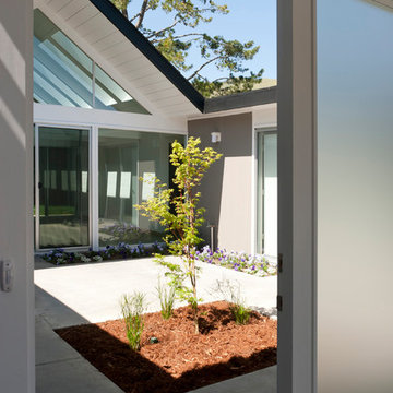 Eichler Remodel Upper Lucas Valley