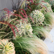 Garden And Exterior Spaces