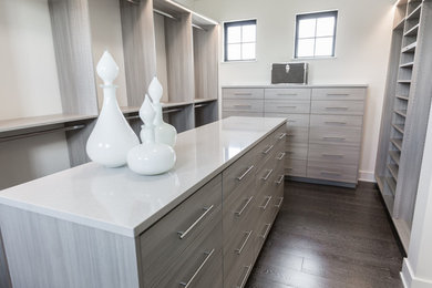 Example of a large gender-neutral dark wood floor and gray floor dressing room design in Minneapolis with flat-panel cabinets and gray cabinets