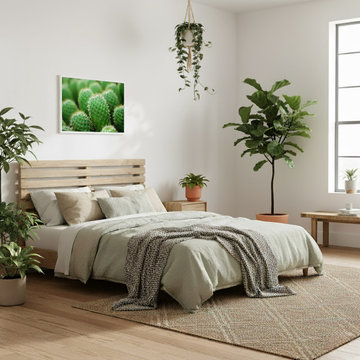 A Collection of Cacti Photorealistic Digital Art Biophilic Style Artwork