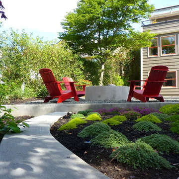 Plum Tree Backyard