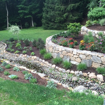 Riparian Stream Restoration : Pound Ridge NY
