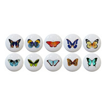 butterflies