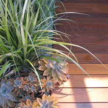 plantings